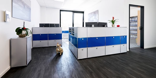 Moderner Empfangsbereich mit blau-silberner Theke und Hund auf dunklem Boden