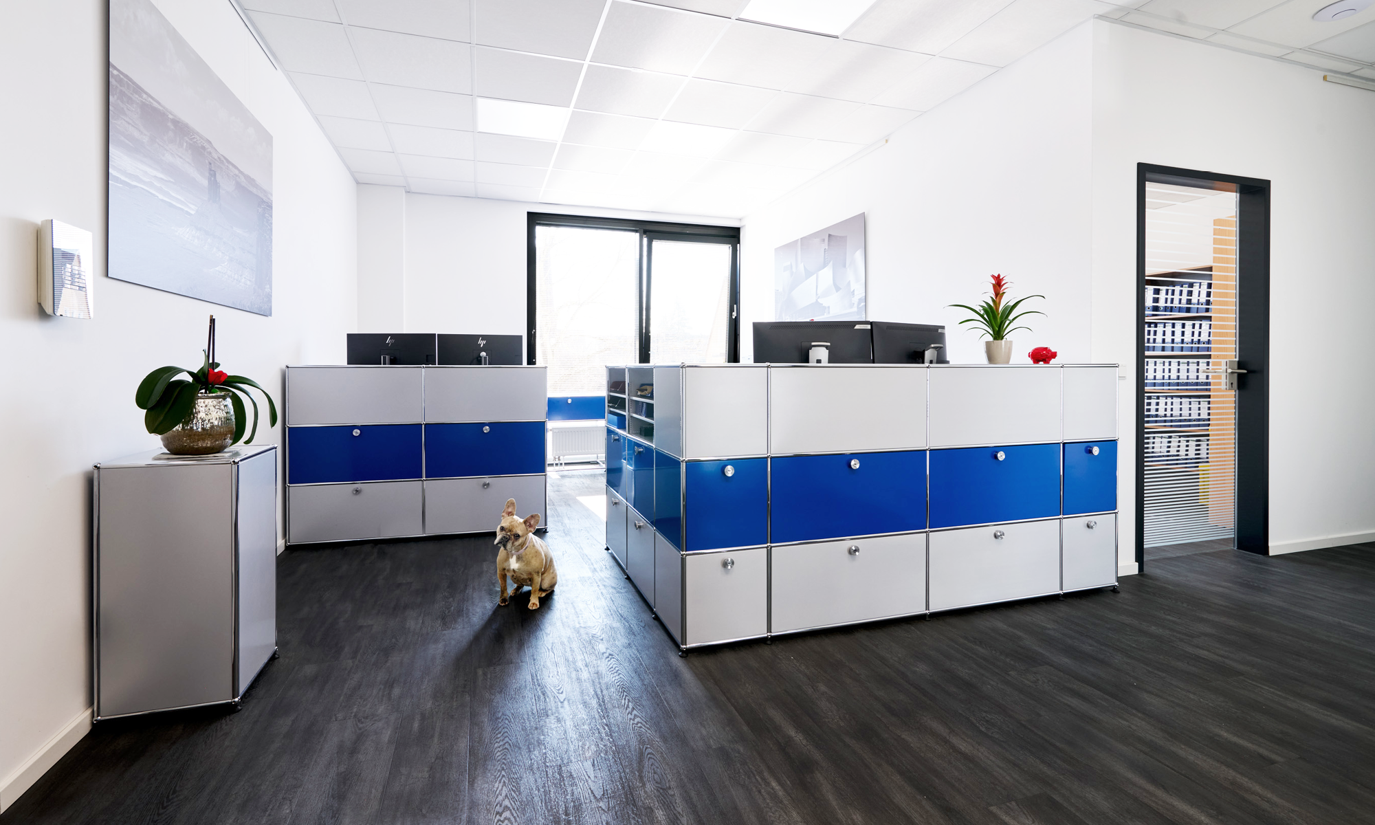 Moderner Empfangsbereich mit blau-silberner Theke und Hund auf dunklem Boden